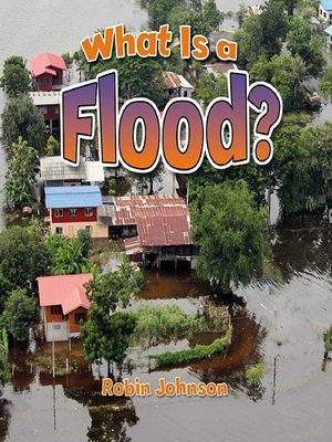 cover image of What Is a Flood?